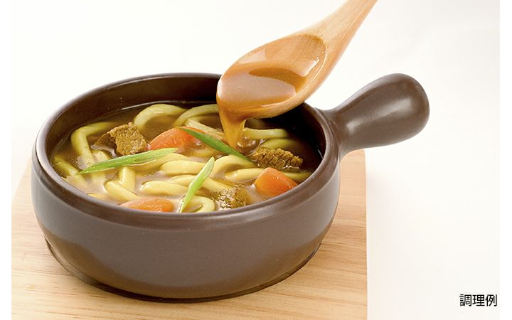 【瀬戸内讃岐工房(株)】カレーうどん2食入り