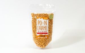 【手作りケーキnariki(ナリキ)】ポ〜ンキャラメル