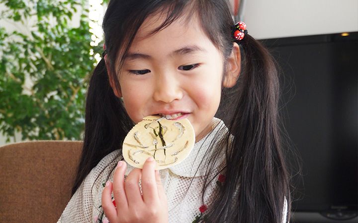 【(有) 象屋元蔵】おととせんべい　28枚入