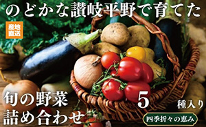 【コスモ農緑】のどかな讃岐平野で育てた旬の野菜詰め合わせセット 5品目