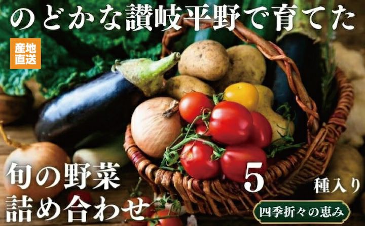 【コスモ農緑】のどかな讃岐平野で育てた旬の野菜詰め合わせセット 5品目