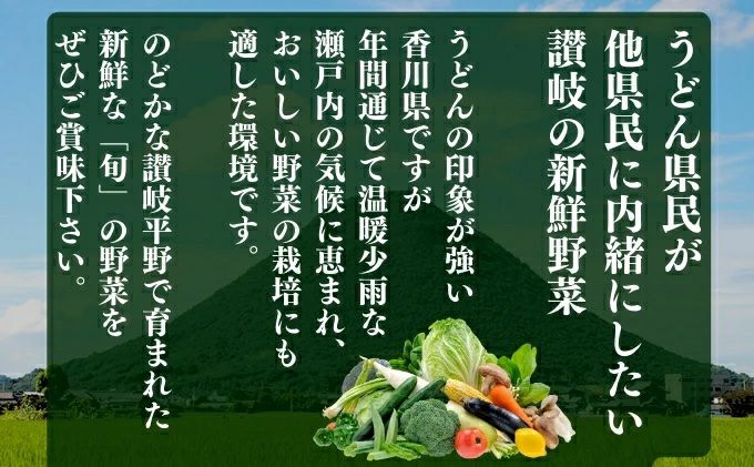 【コスモ農緑】のどかな讃岐平野で育てた旬の野菜詰め合わせセット 5品目
