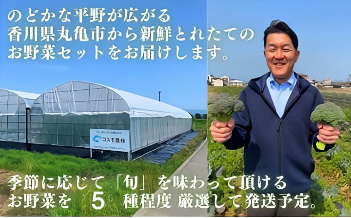 【コスモ農緑】のどかな讃岐平野で育てた旬の野菜詰め合わせセット 5品目