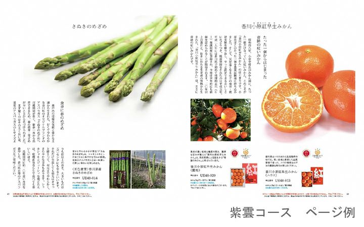 【リンベル (株)】香川県産品カタログギフト「香川べっぴんさん」紫雲コース