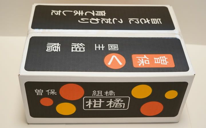 【まるく農園】曽保みかん5kg　ギフト用