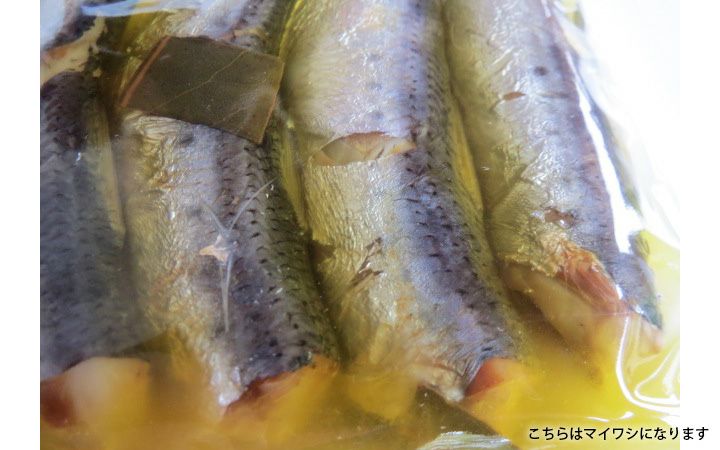 【共栄冷凍水産(株)】オイルサーディン