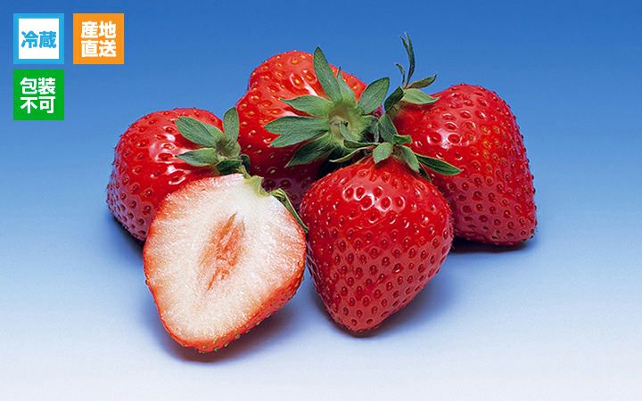 ※冷蔵※【(株)五色青果】さぬき讃フルーツ さぬきひめ苺 約400g化粧 (12～18粒入)